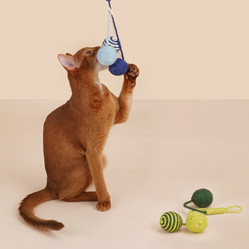 Interactive cat teaser stick toy set with fishing rod handle and four different toy attachments including catnip balls