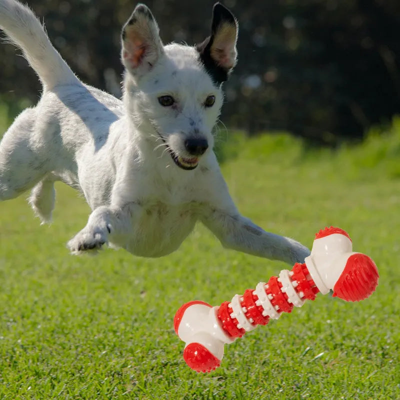 Blue bone shaped interactive dog chew toy with a treat holder in the centre for small breed dogs