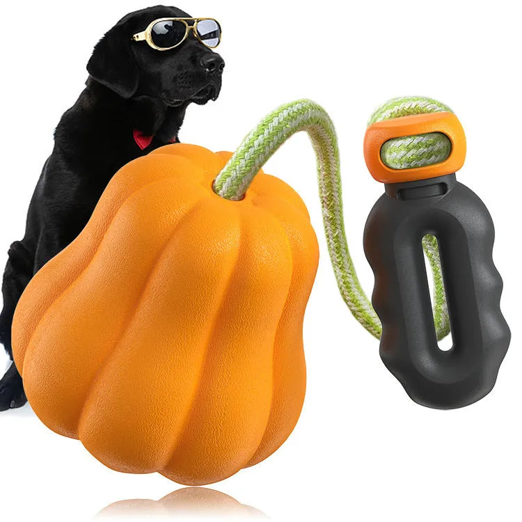 Orange pumpkin-shaped plastic dog toy with textured surface and rope attachment for chewing and fetch games
