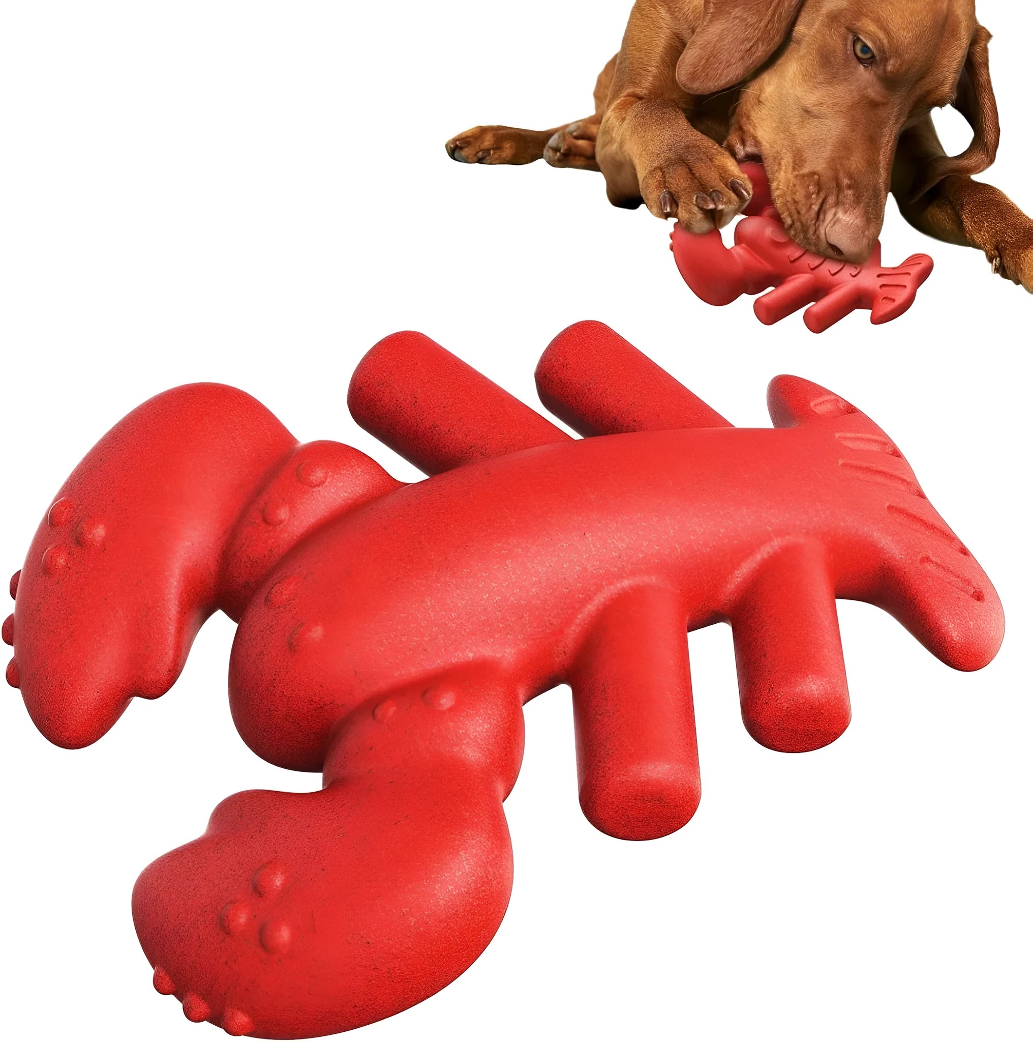Red hard nylon dog chew toy for large breeds on a white background