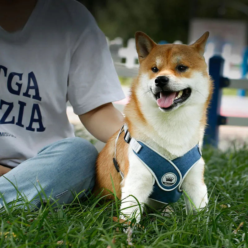 Adjustable mesh dog harness with reflective strips and metal D-ring in blue colour