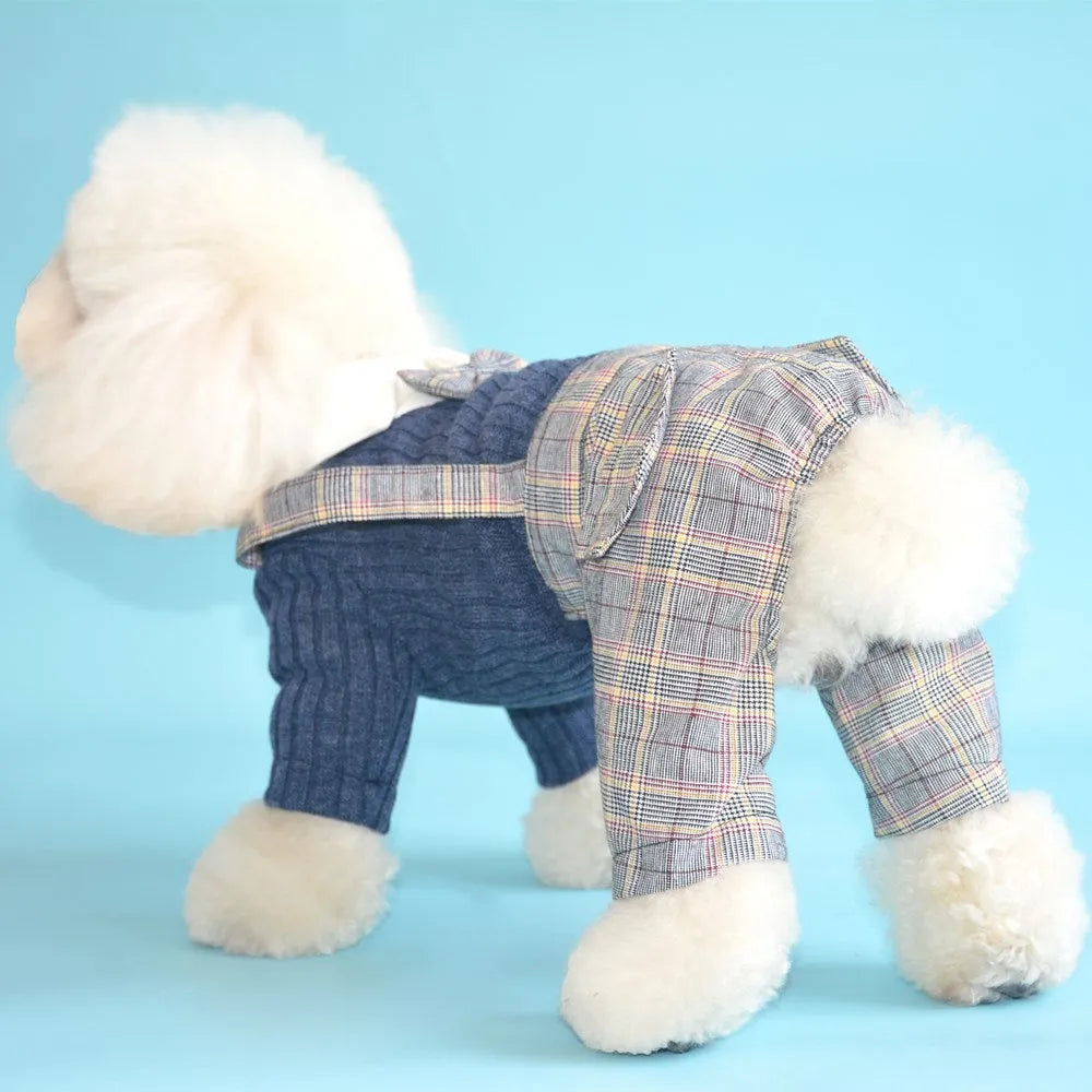 Cotton dog suit shirt for small dogs in orange and dark blue colours with size options