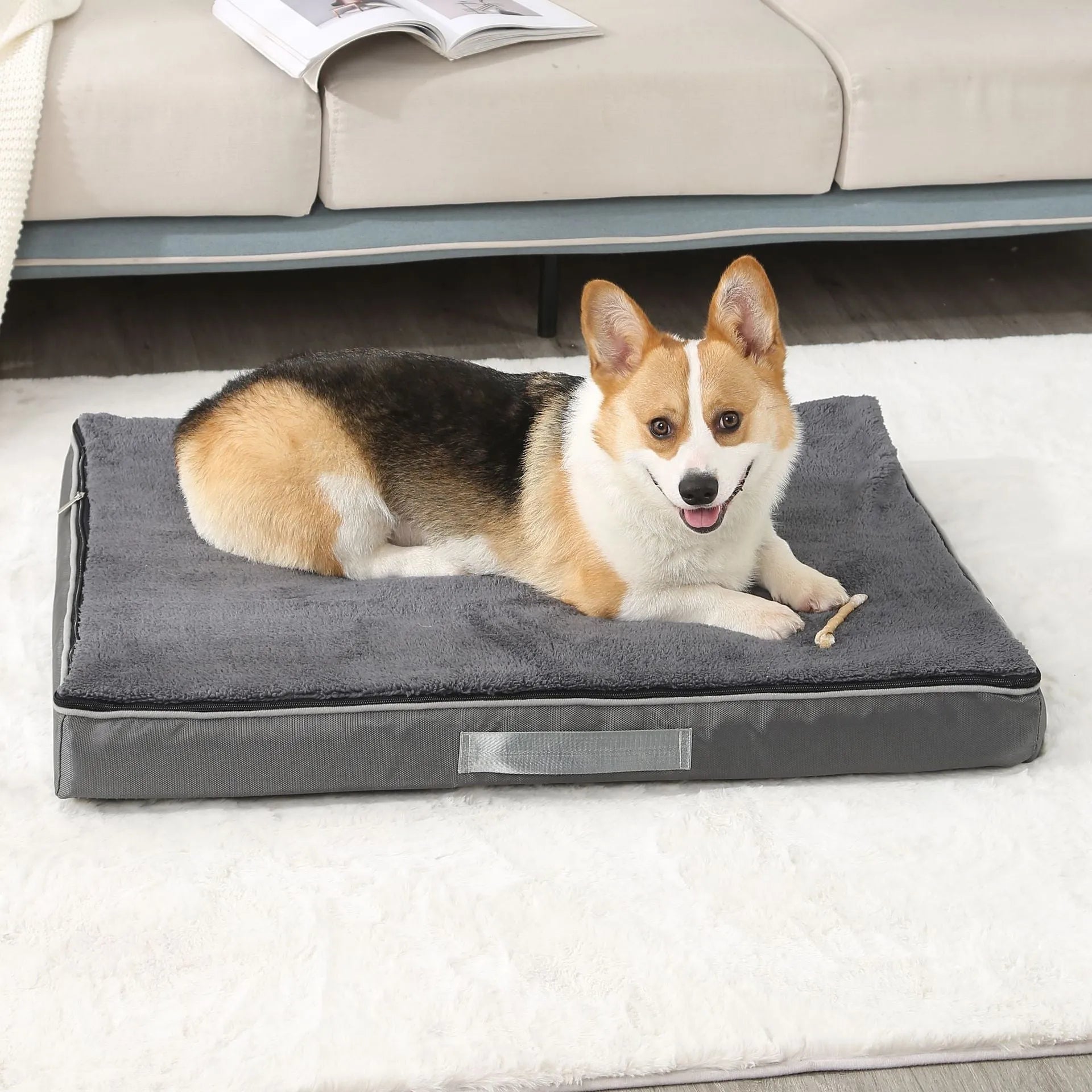 Brown removable washable memory sponge dog mat for pets showing size options.