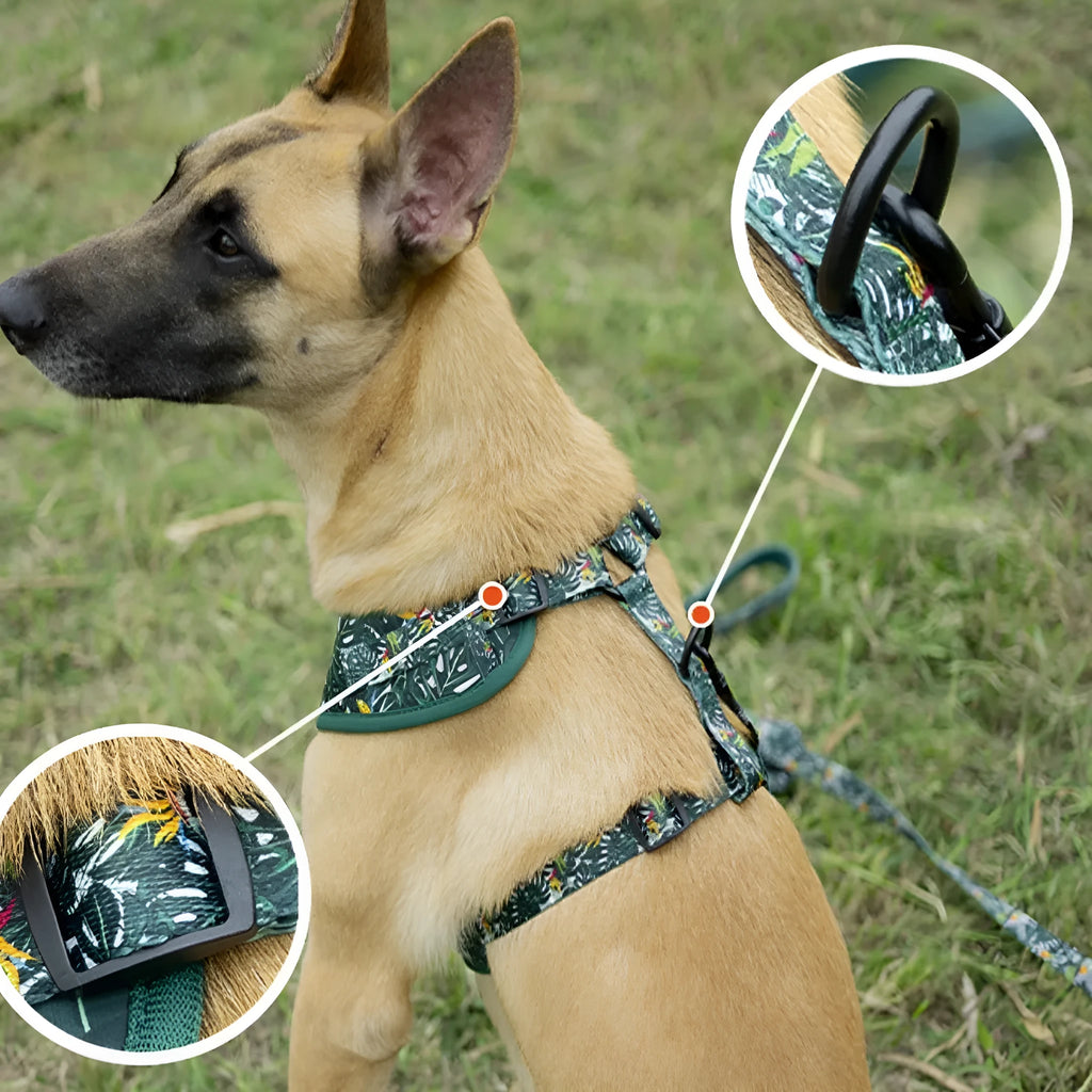 Six-piece adjustable cloth dog harness set with lead, collar, waste bag, bow tie, and scarf.