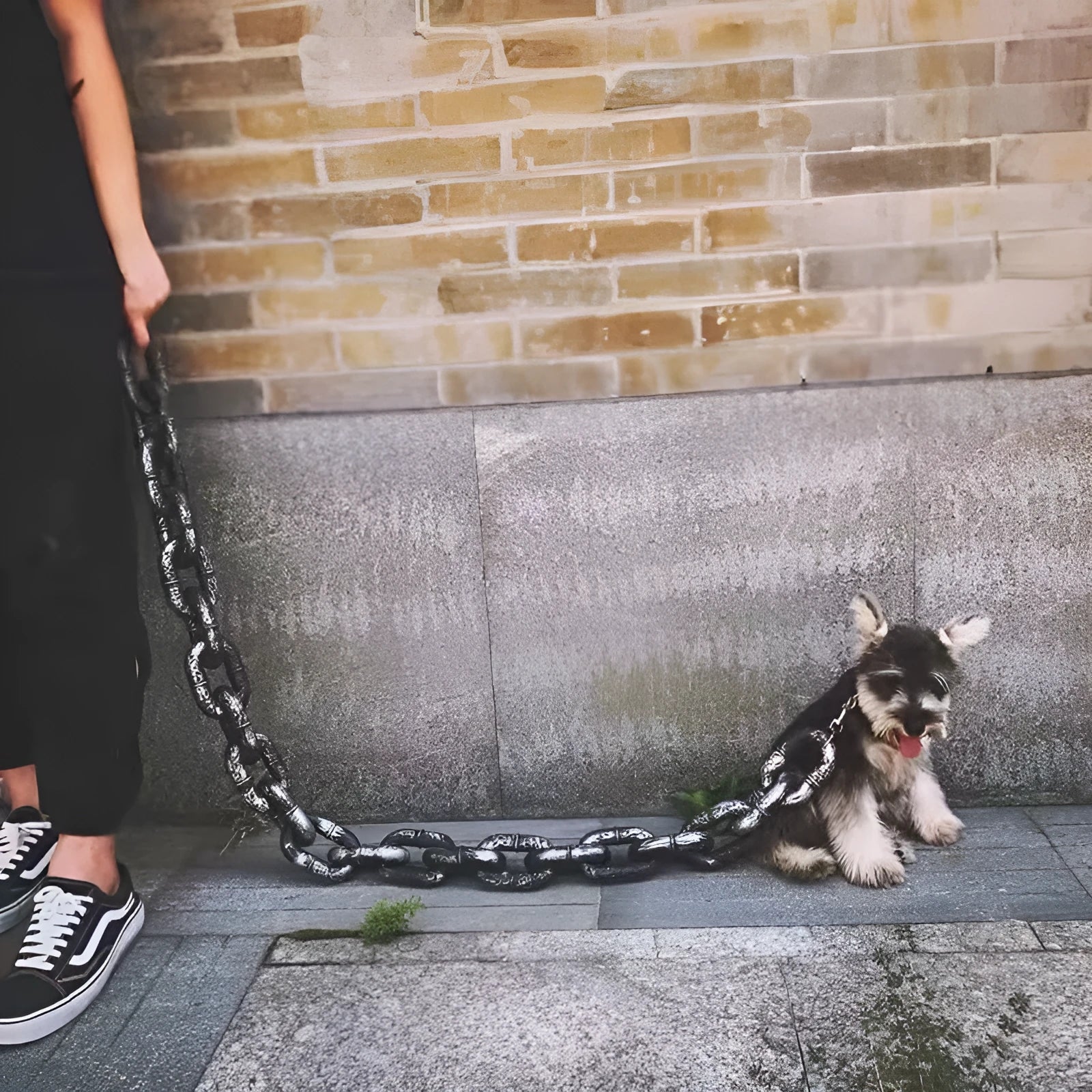 PP material dog leash rope in bronze, antique silver or black colour at 1.5m, 2m or 3m length
