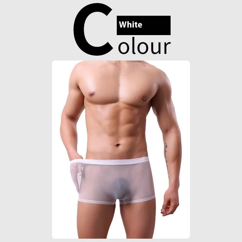 Men's mesh boxer briefs in thin sheer polyester fabric showing low waist design and breathable construction