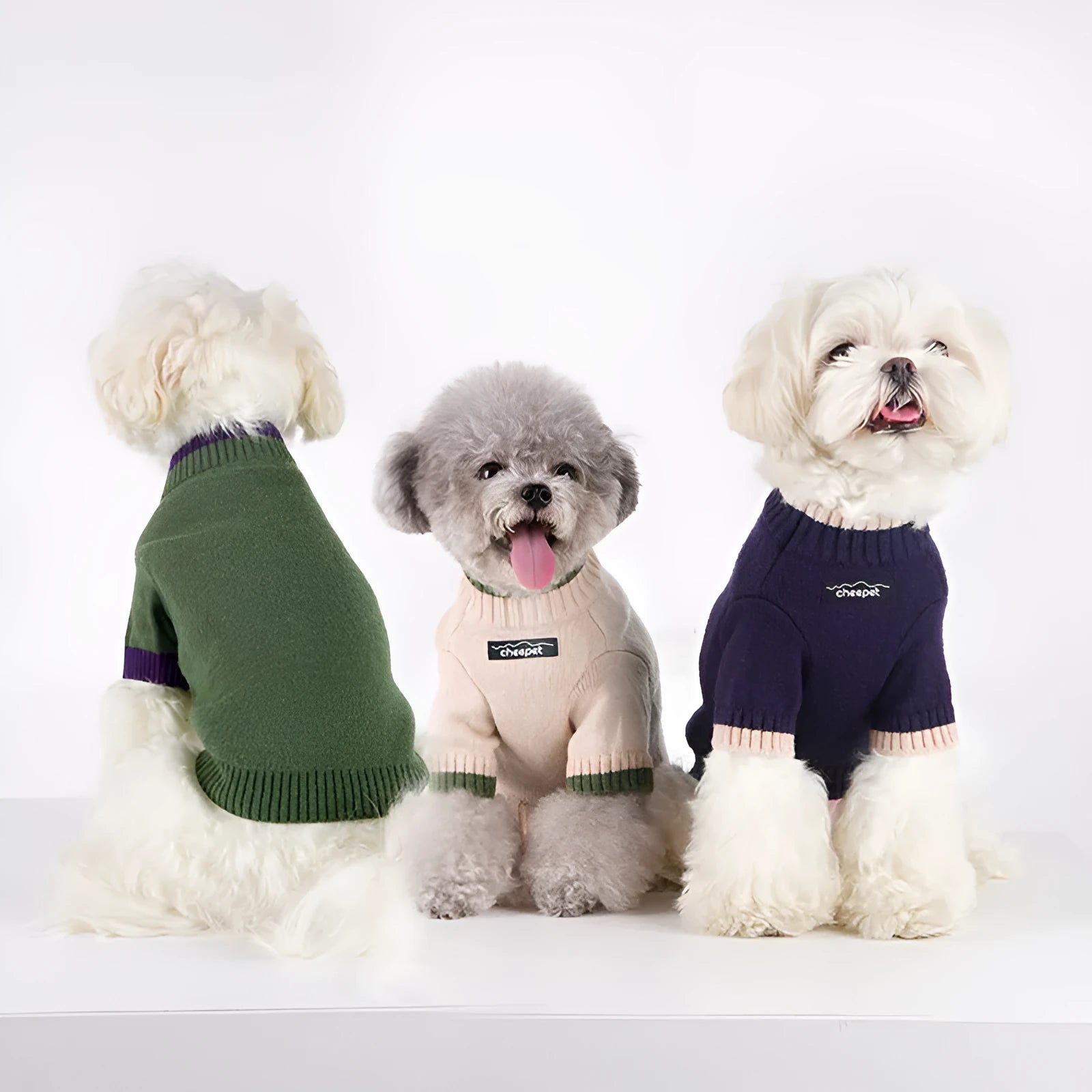 Contrast colour two-leg pet sweater for dogs and cats in wool blend fabric.