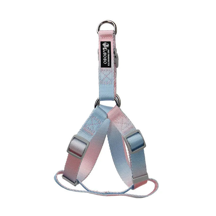 Gradient colour nylon dog leash set with collar, bracelet, and chest strap options in pink/yellow and purple/green combinations