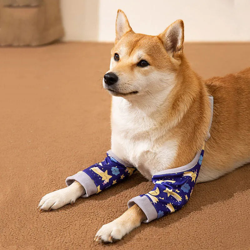 Blue dog elbow support wrap with extra padding and matching scarf on medium-sized dog