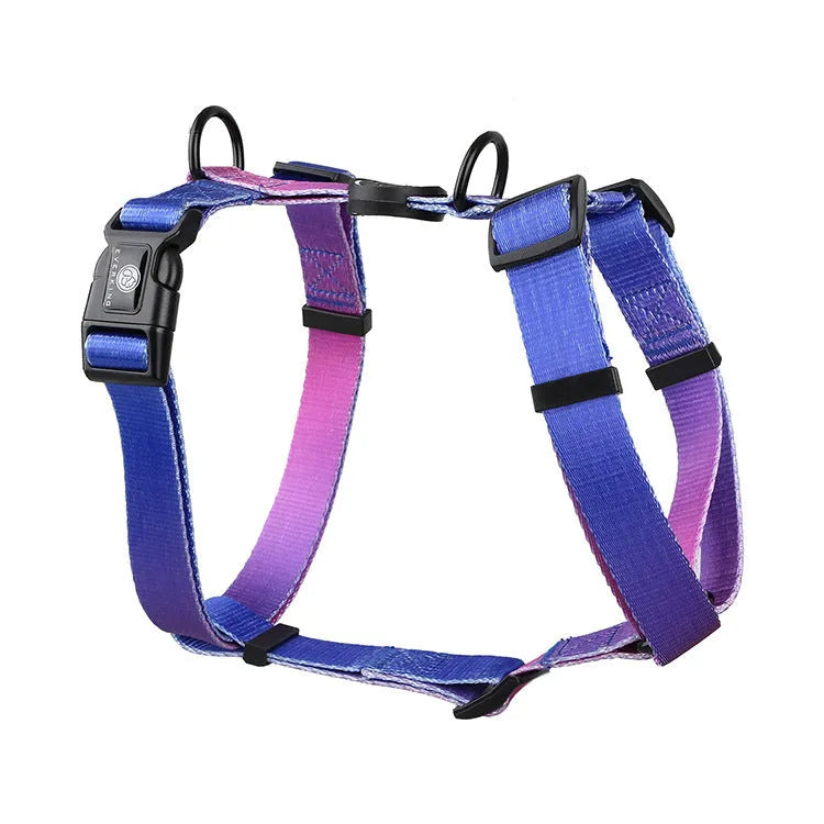 Gradient colour dog chest strap harness in four design options with secure chest and back fastening