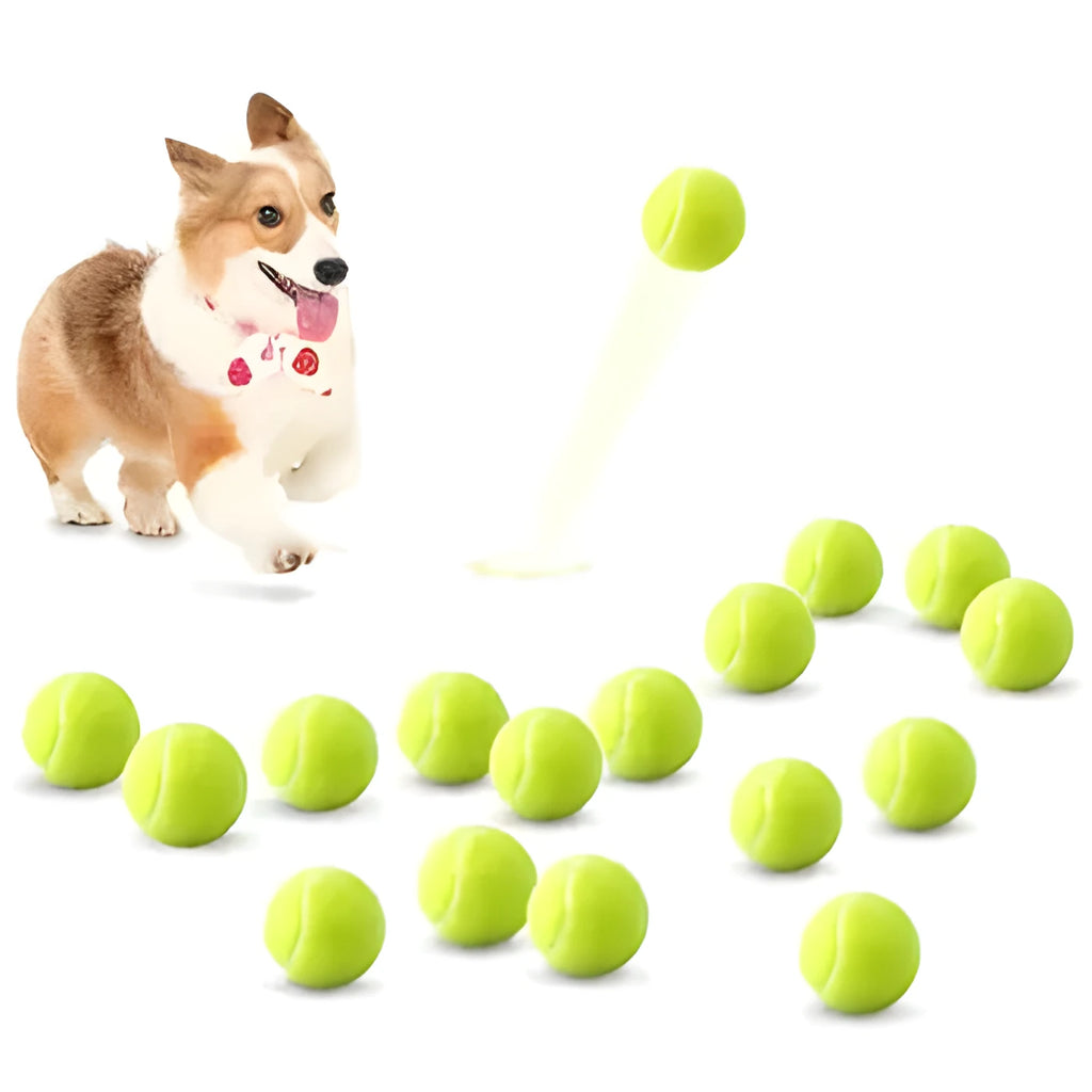 Colourful 6.3cm diameter rubber dog tennis ball toy in blue, green, pink, and red on a white background.