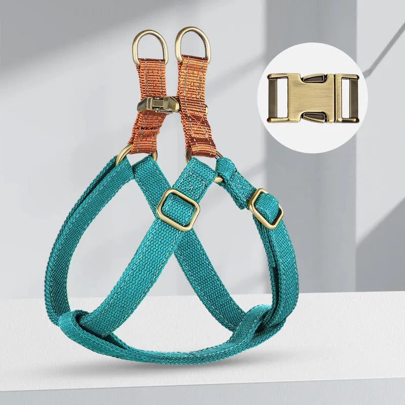 Brown vest-style dog leash with cotton belt and alloy fastener on a dog.