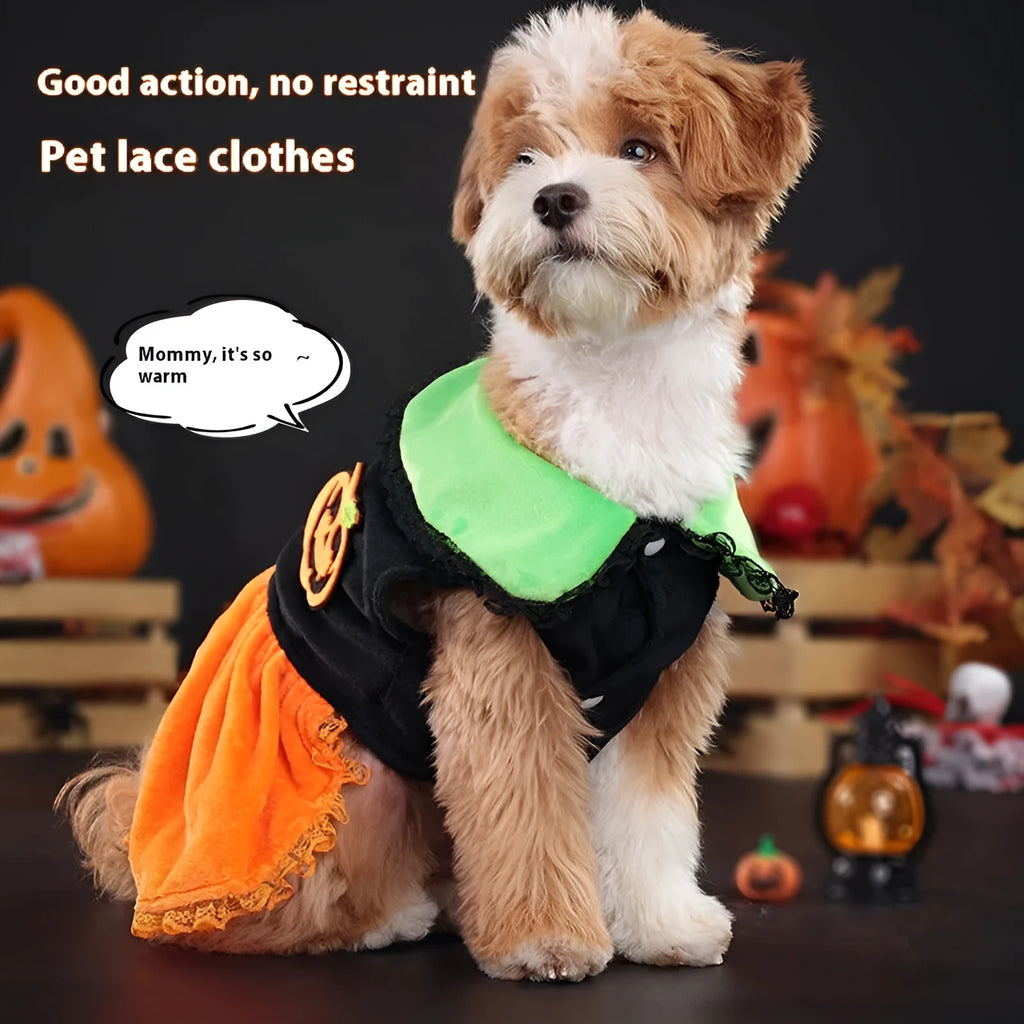 Halloween pumpkin skirt and sweater pet costumes in crystal velvet for dogs and cats