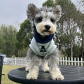 Blue and grey white striped reflective lettering on a slim-fit pet hoodie for cats and dogs.