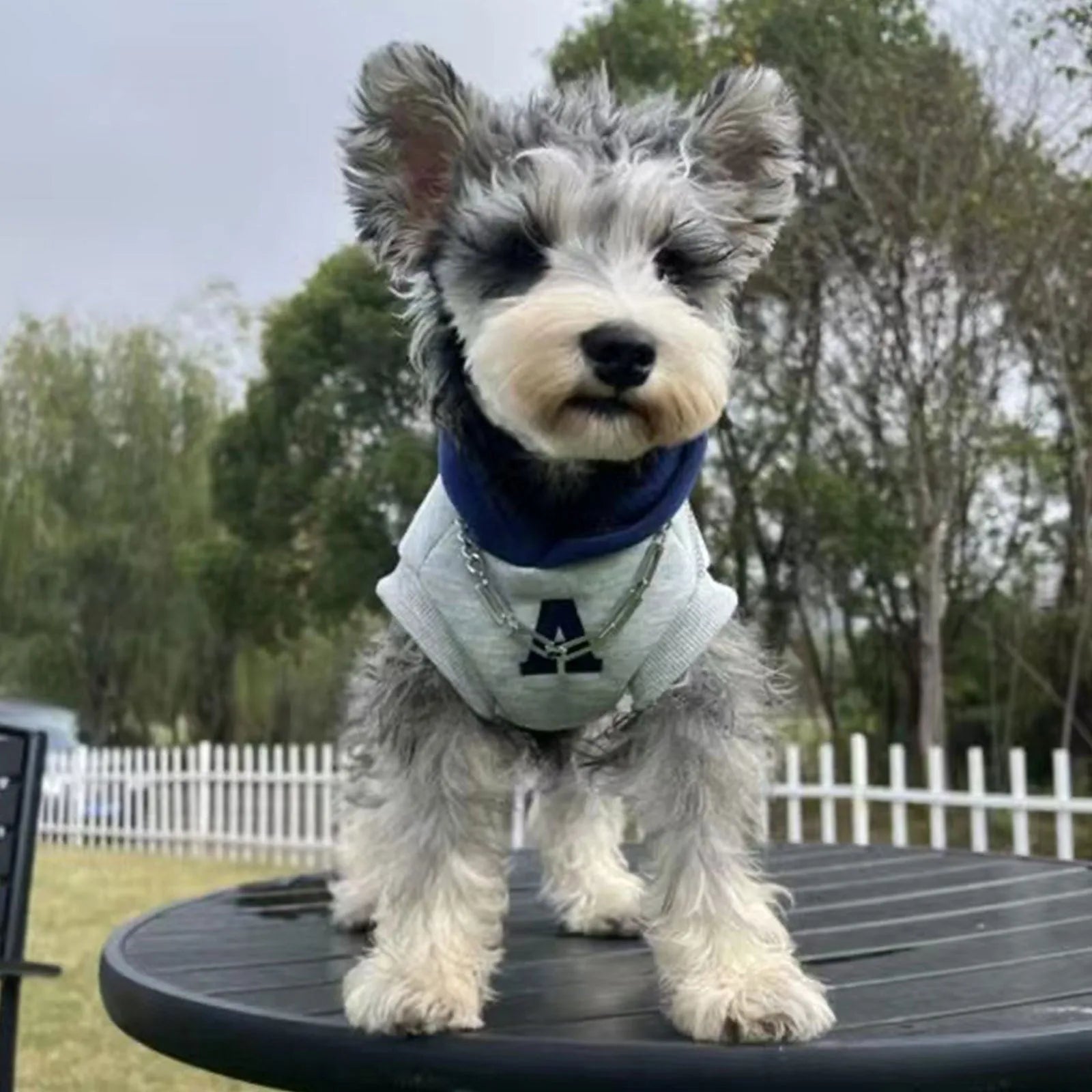 Blue and grey white striped reflective lettering on a slim-fit pet hoodie for cats and dogs.