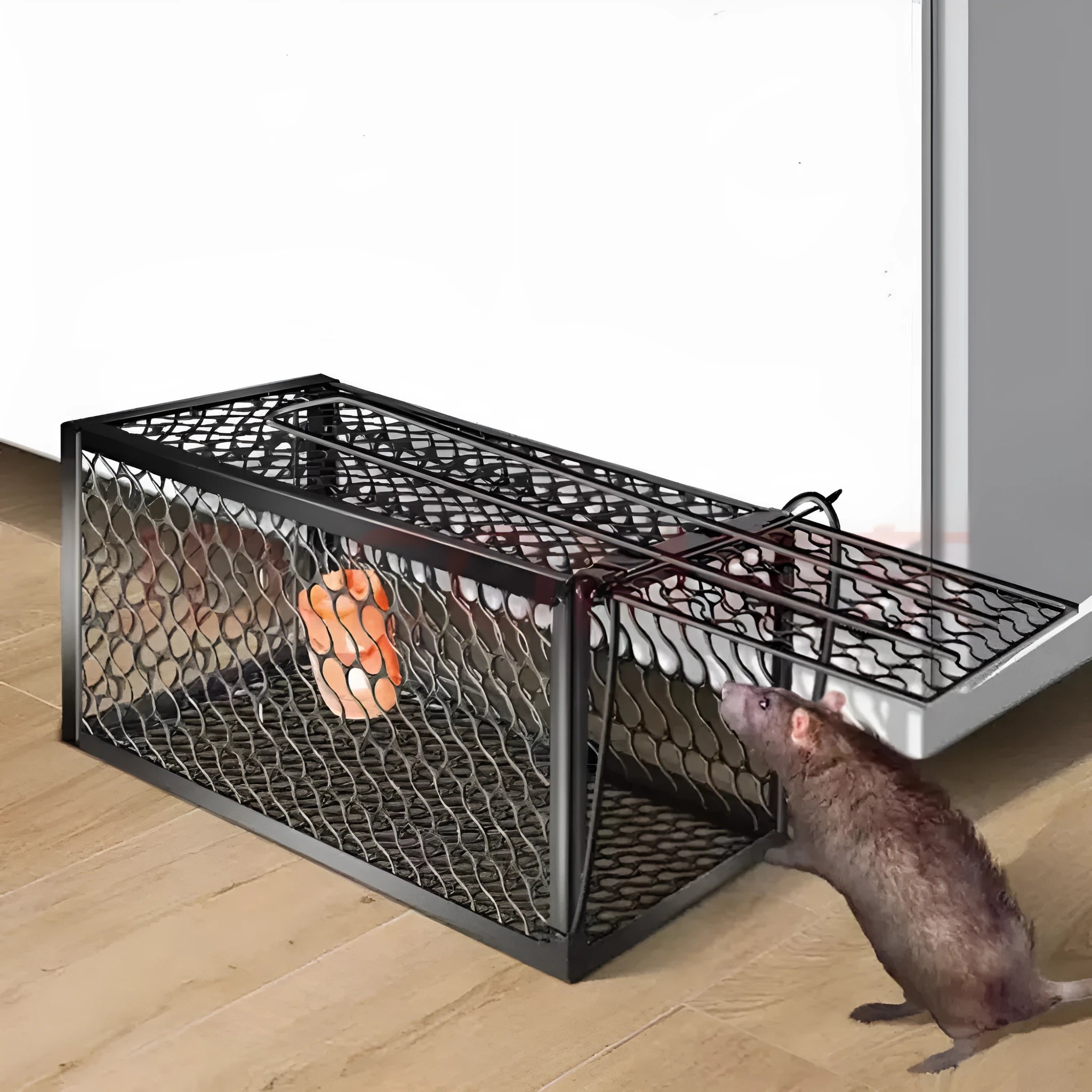 Automatic mouse trap cage in small, medium, and large sizes with metal and plastic construction options.