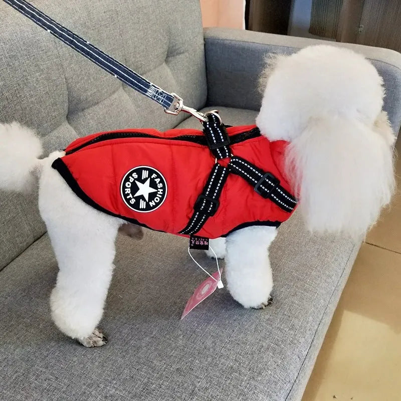 Red waterproof dog coat with integrated harness on a Labrador retriever