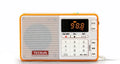 Tecsun Q3 digital audio player and FM radio in multiple colours on a white background.