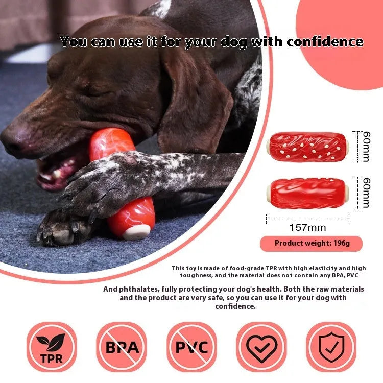 Primary colour plastic dog chew toy with textured molar rod surface and snack compartment