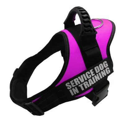 A reflective adjustable no-pull dog harness in a vest style, shown on a dog with a personalised patch.