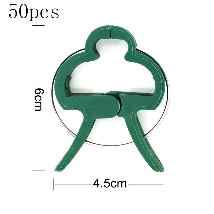 Green plastic and zinc plant fixing clips for large and small climbing plants like tomatoes and beans.