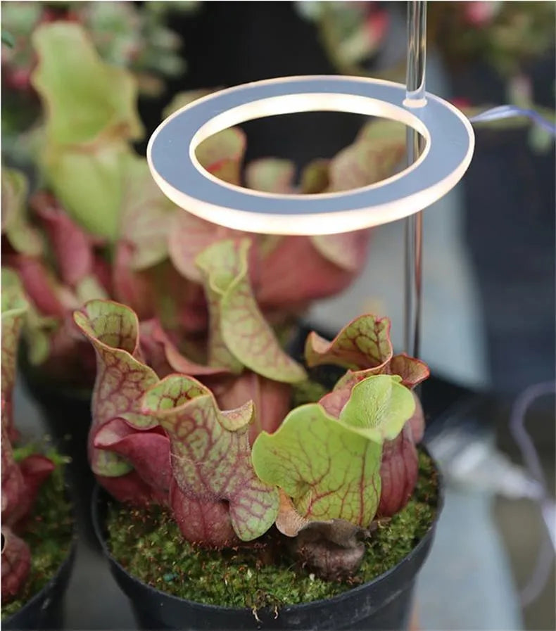 USB-powered LED plant grow light with full spectrum yellow LEDs, acrylic mounting stick, in pink/white colour.