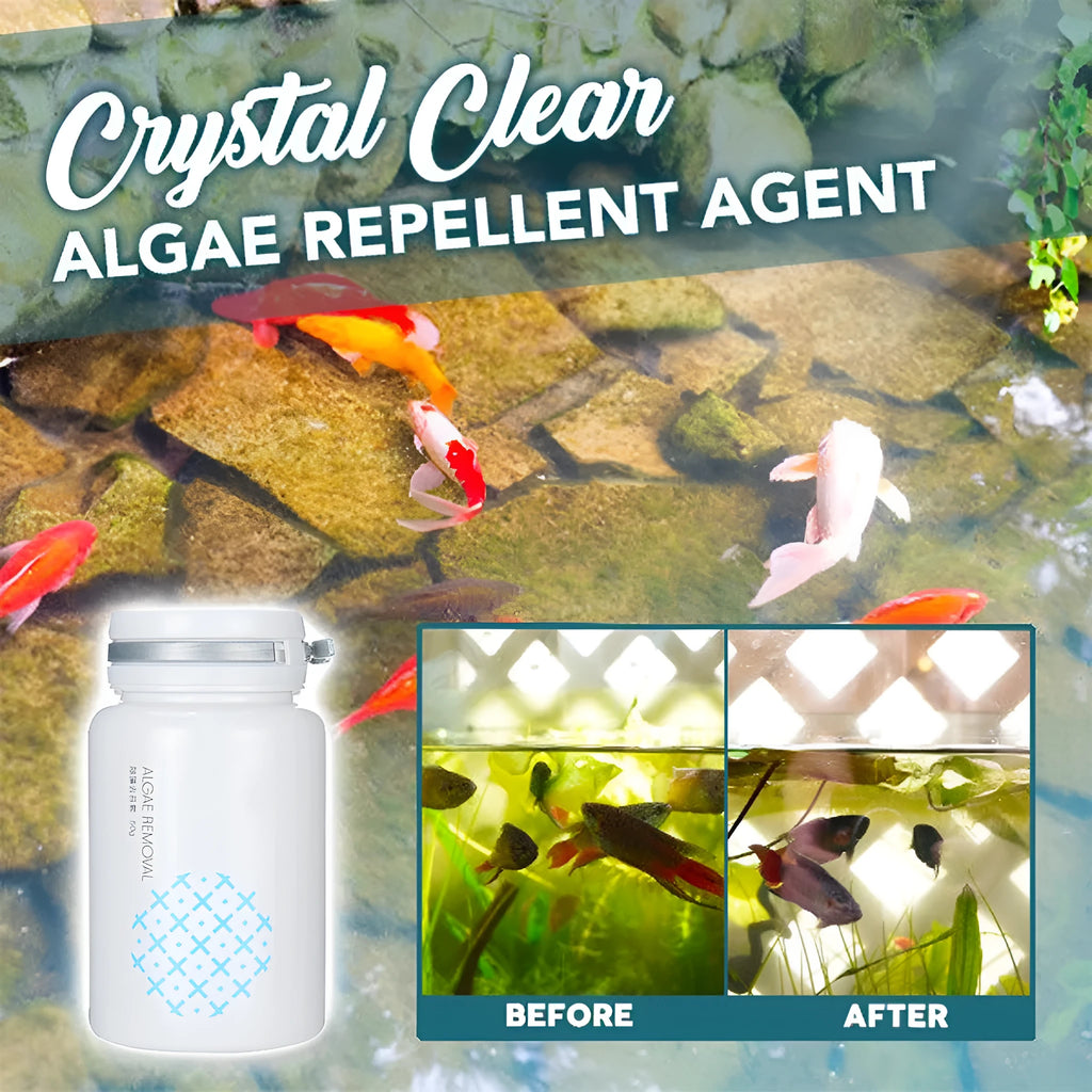 50g algaecide packet for swimming pool green water removal and black hair algae treatment safe for water grass