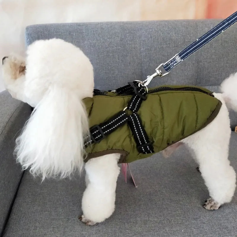 Red waterproof dog coat with integrated harness on a Labrador retriever