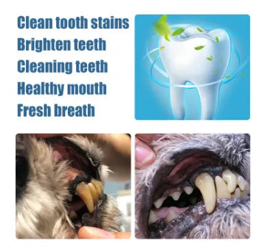 Pet teeth whitening pen with dental brushes for dogs and cats tartar removal