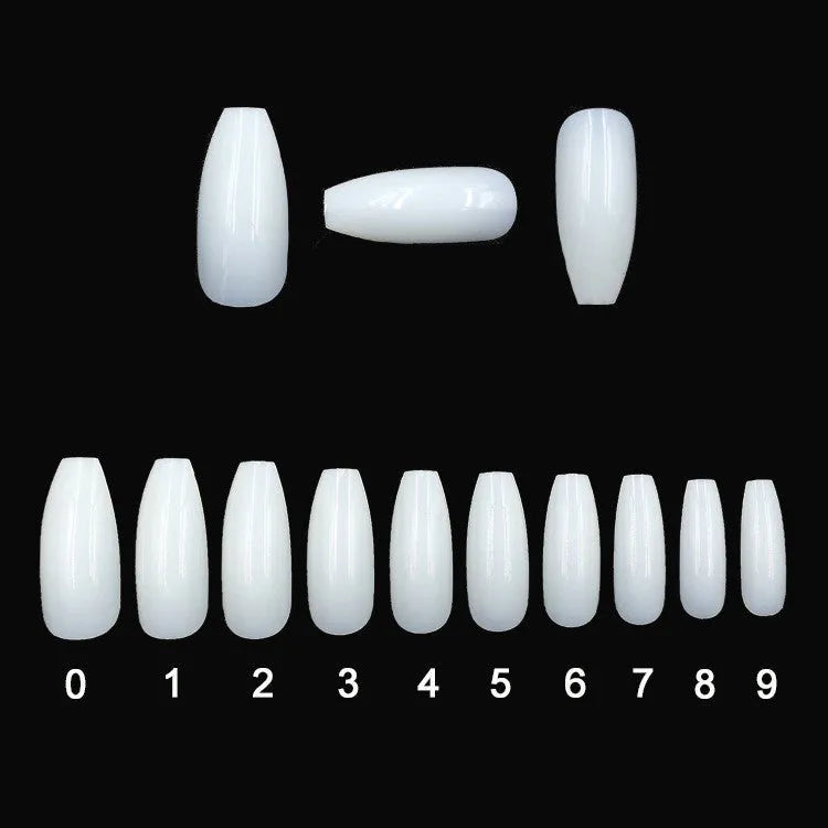 500 clear acrylic false nails in assorted sizes arranged next to application brush and bottle.