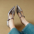 Women's gun coloured leather Mary Jane pumps with a chunky mid heel and pointed toe on a white background.