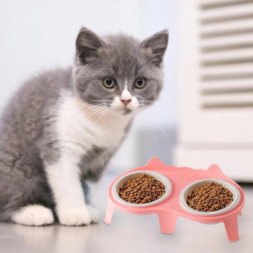 Ceramic cat food and water bowl set on elevated tilted ABS plastic stand in blue colour