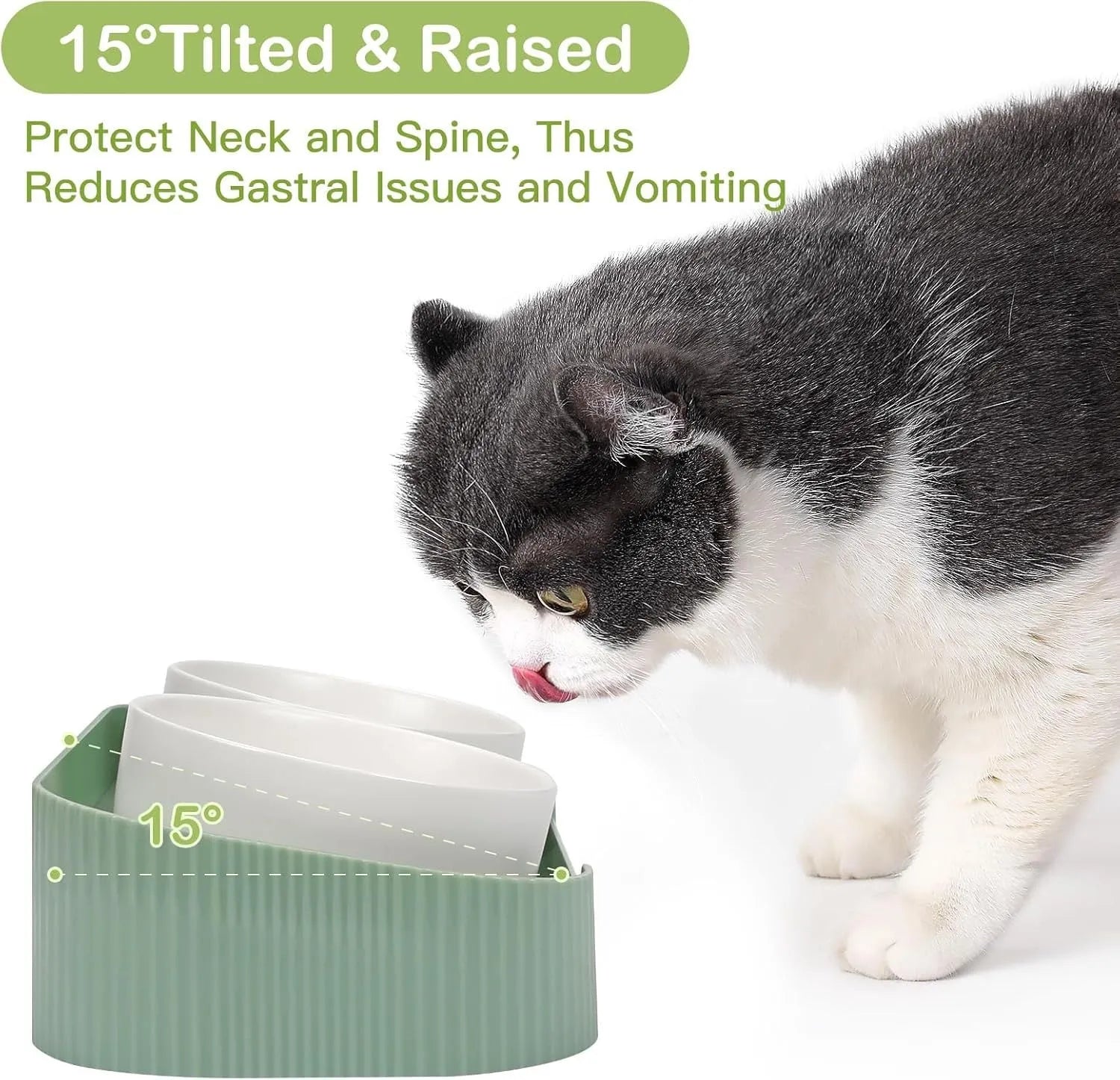 Green ceramic elevated cat bowls with 15-degree tilted stand and non-slip base