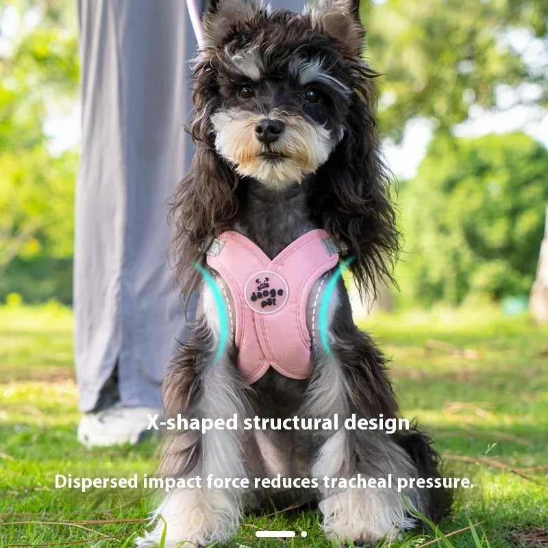 Blue polyester dog vest harness with an attached hand-held rope for walking.