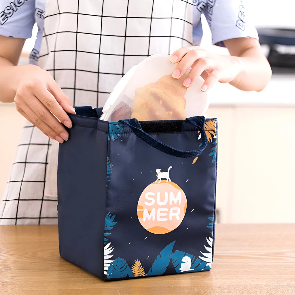 Thermal insulation lunch box bag in Oxford cloth with multiple colour design options