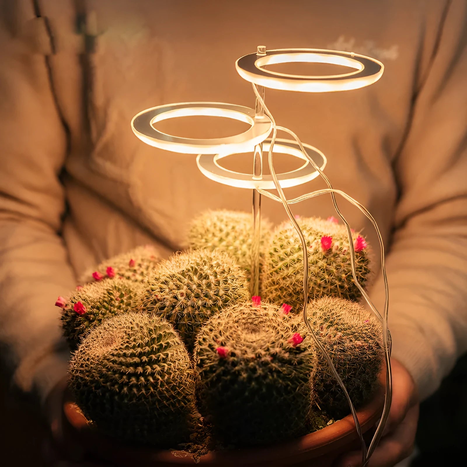 USB-powered LED plant grow light with full spectrum yellow LEDs, acrylic mounting stick, in pink/white colour.