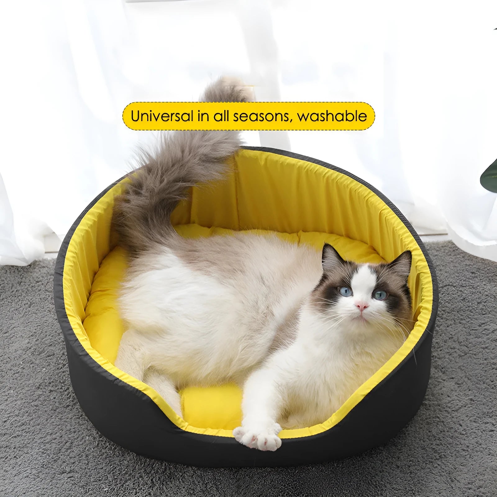 Washable cloth pet kennel for cats and dogs in black or green with three size options.