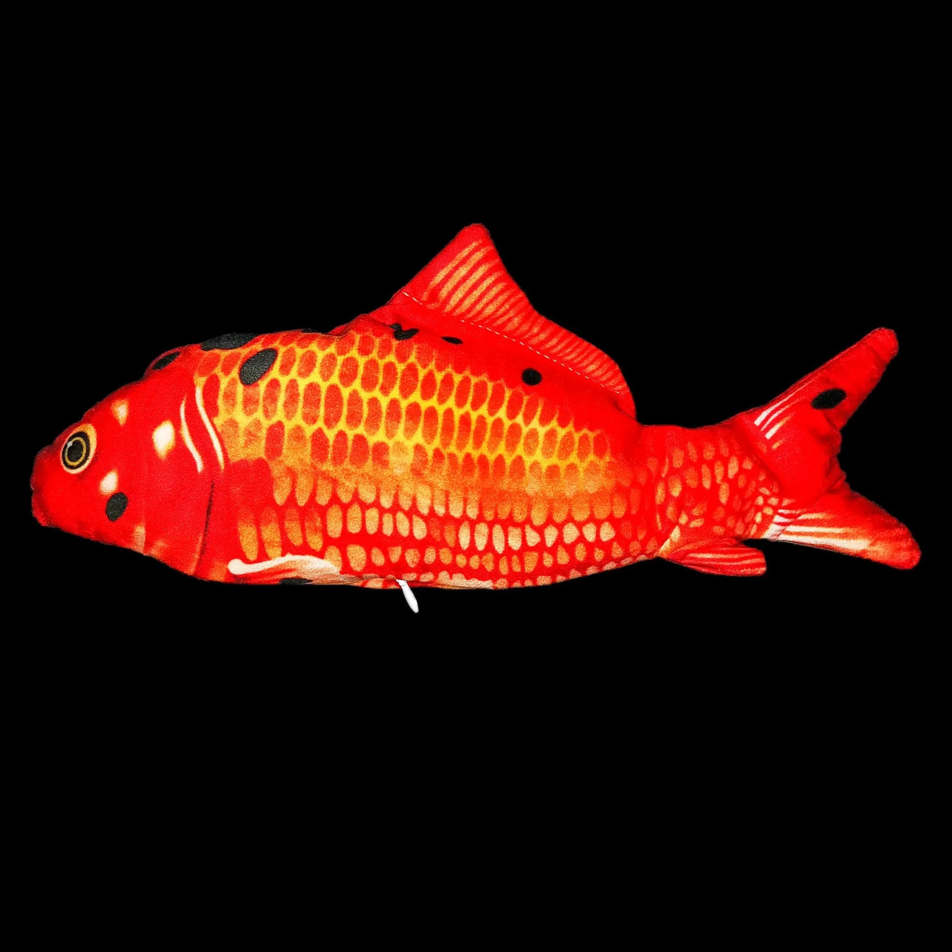 Electric jumping fish simulation cat toy showing multicolor options and USB charging cable.