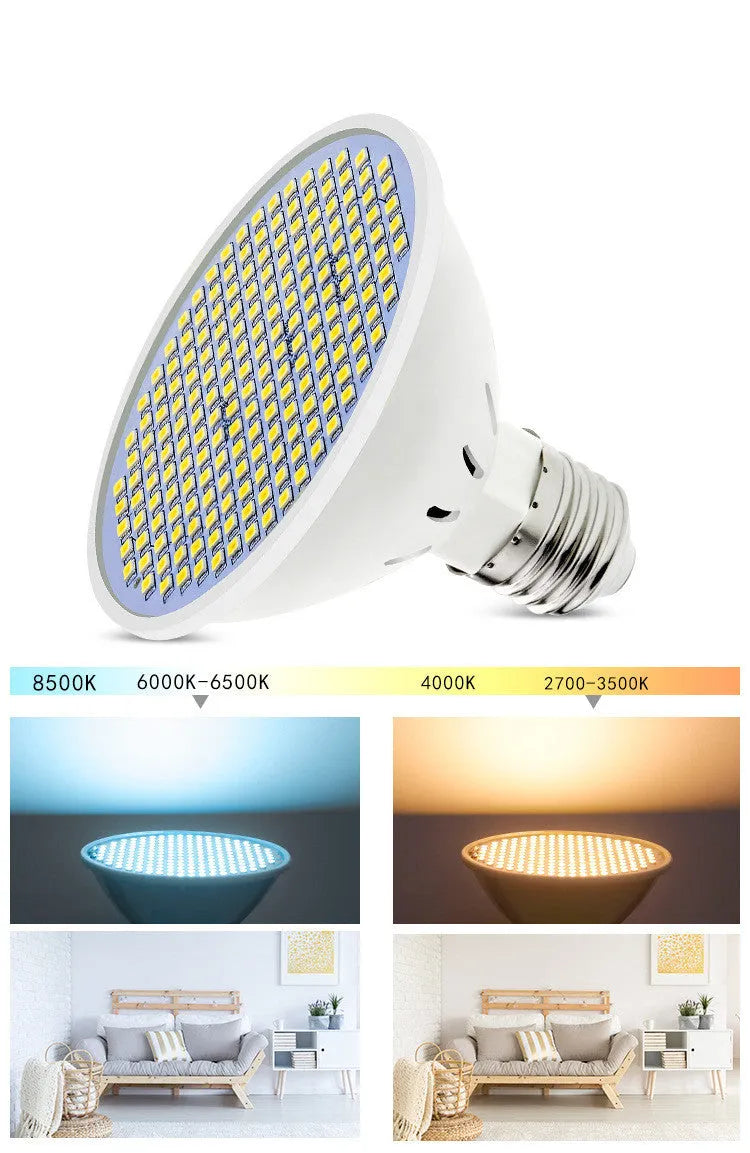 E27 LED energy-saving bulb with PC lamp body, shown in warm white and cool white options.