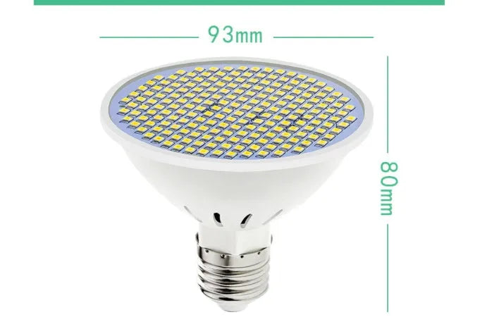 E27 LED energy-saving bulb with PC lamp body, shown in warm white and cool white options.
