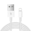 White 20W USB-C fast charger plug with cable for iPhone and iPad