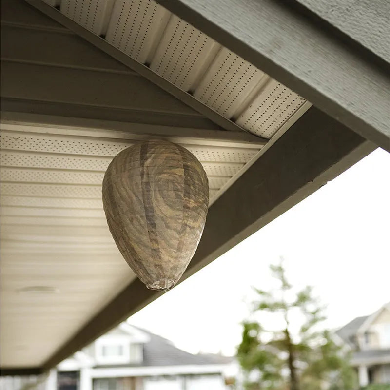 22 by 28 cm beehive style paper lantern with honeycomb design in photographic colour