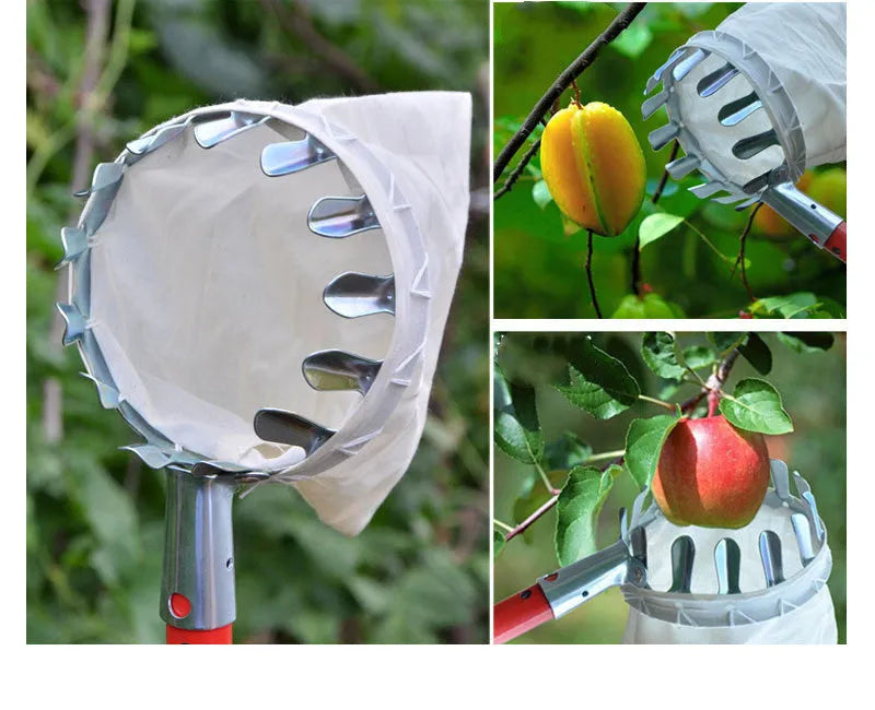 Steel framed fruit picker basket with cloth bag for harvesting pears and citrus fruits