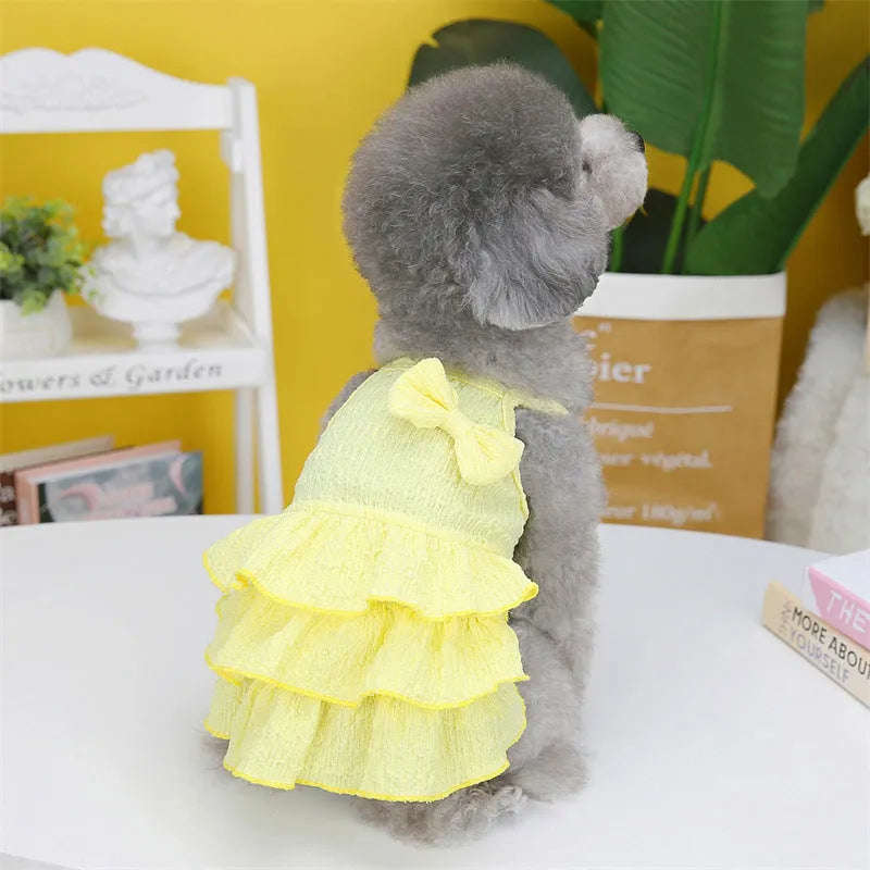 Small dog wearing a layered skirt princess dress in a candy colour.