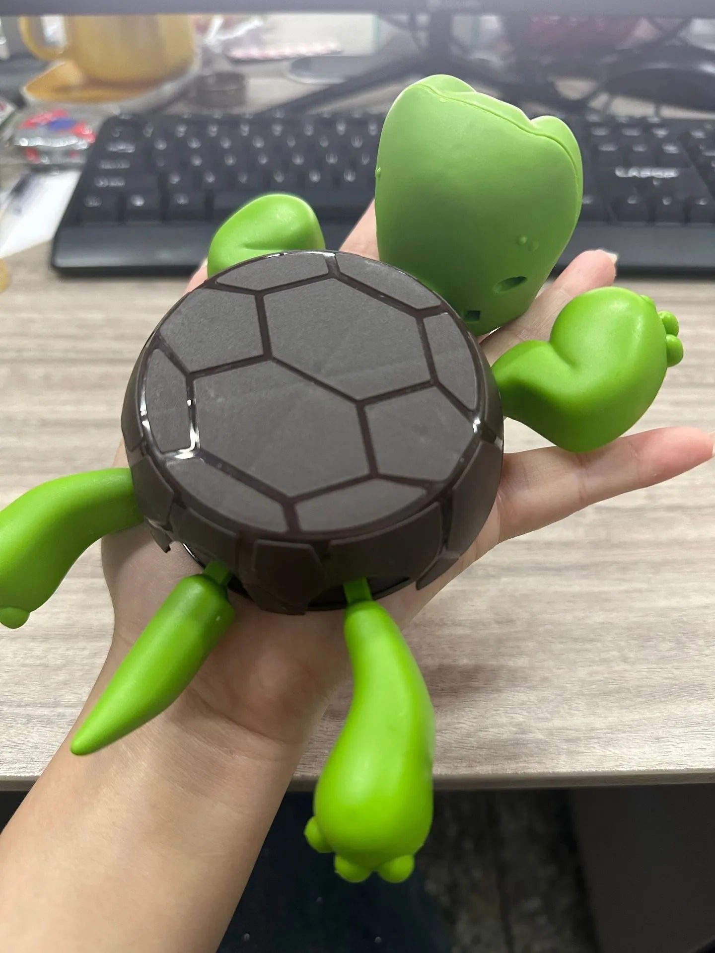 ABS plastic Turtle Coaster in light green colour with heat insulation function for table protection