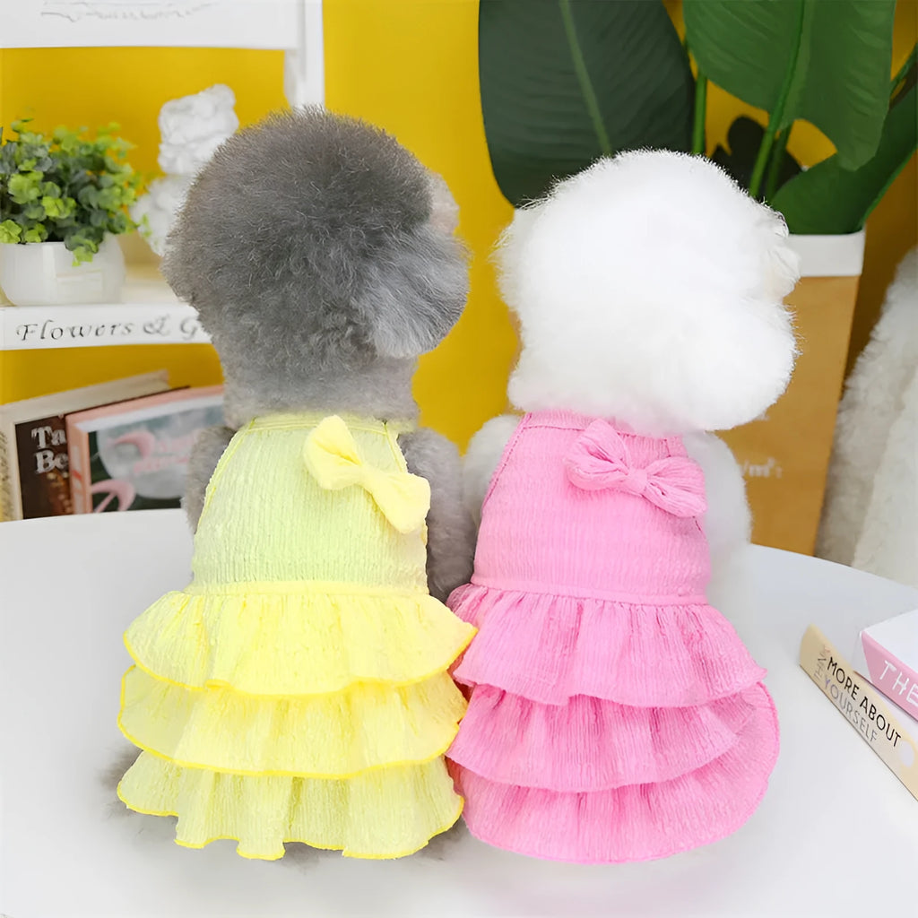 Small dog wearing a layered skirt princess dress in a candy colour.