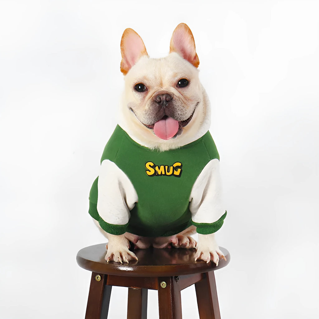 Green cotton dog coat for large dogs in sizes L to 4XL for autumn and winter wear.