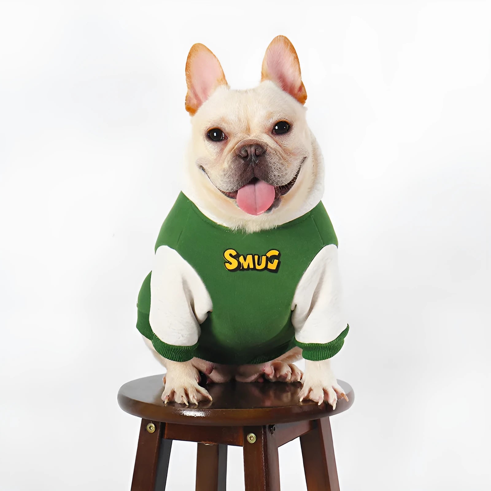 Green cotton dog coat for large dogs in sizes L to 4XL for autumn and winter wear.