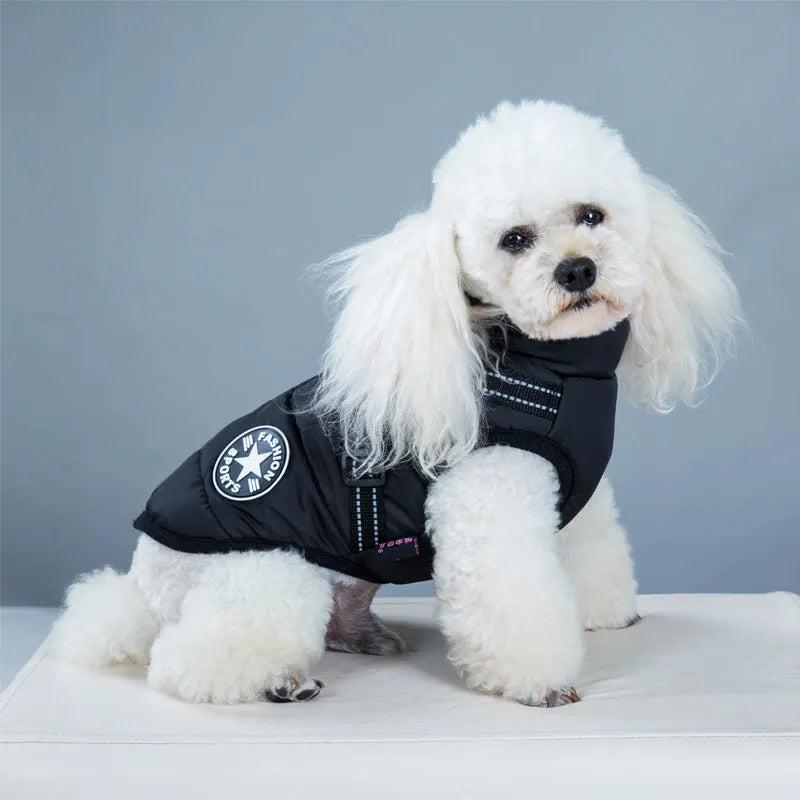 Red waterproof dog coat with integrated harness on a Labrador retriever
