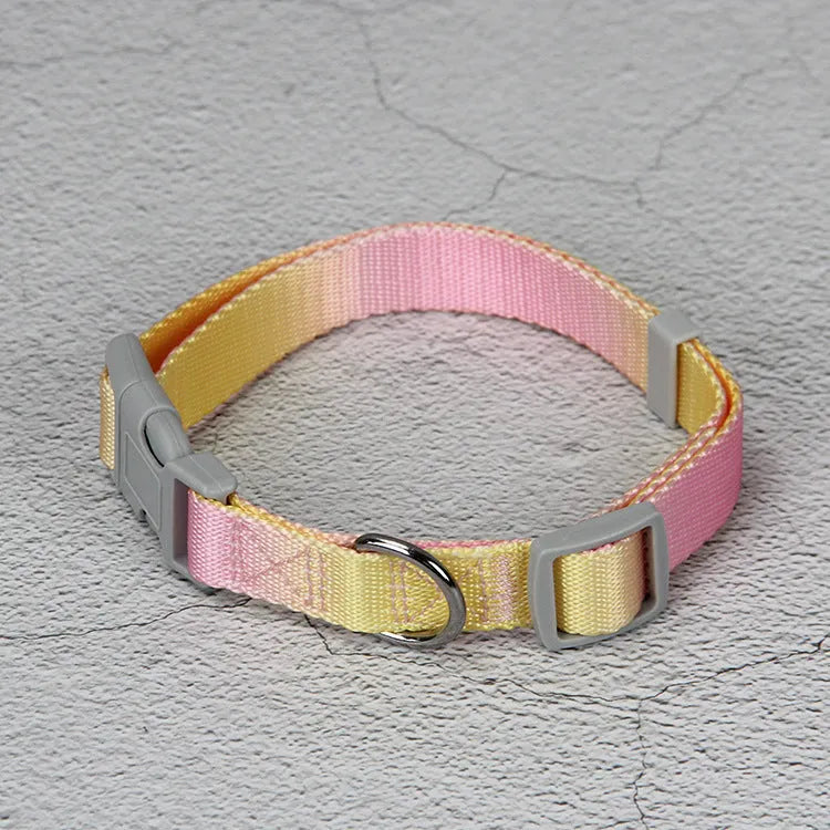 Gradient colour nylon dog leash set with collar, bracelet, and chest strap options in pink/yellow and purple/green combinations
